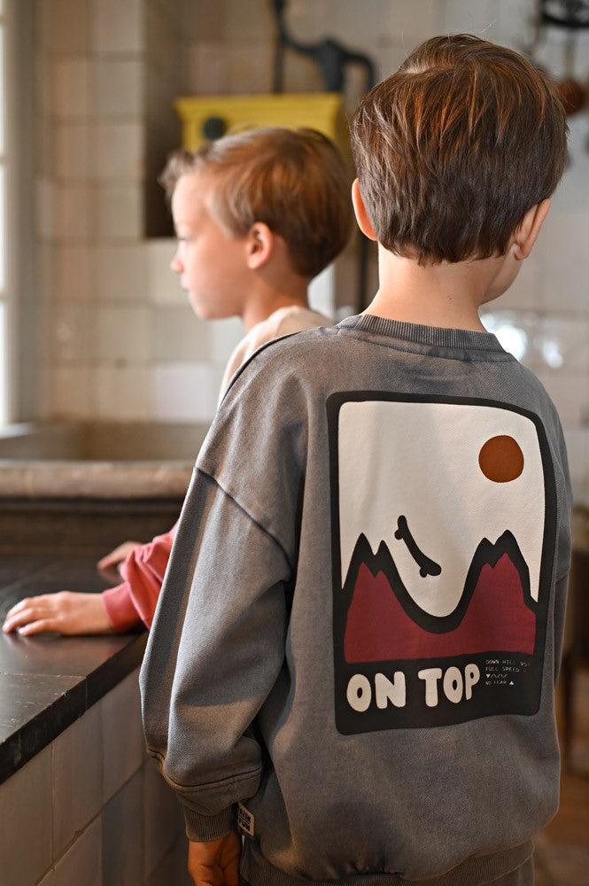 Sturdy | Oversized-Sweater mit Rückendruck - Mountain Top