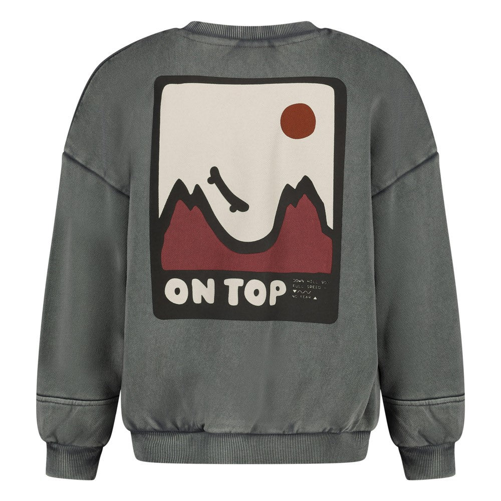 Sturdy | Oversized-Sweater mit Rückendruck - Mountain Top